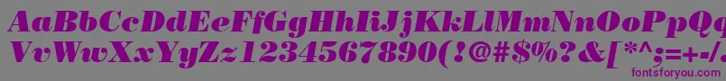 BodoniLtPosterItalic Font – Purple Fonts on Gray Background