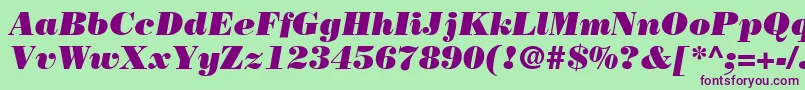 BodoniLtPosterItalic Font – Purple Fonts on Green Background