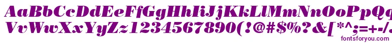 BodoniLtPosterItalic Font – Purple Fonts on White Background