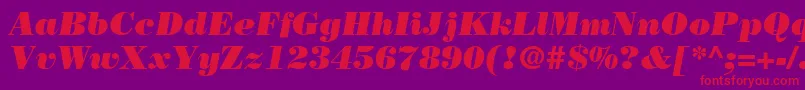 BodoniLtPosterItalic Font – Red Fonts on Purple Background