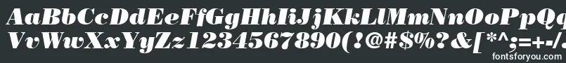 Шрифт BodoniLtPosterItalic – белые шрифты