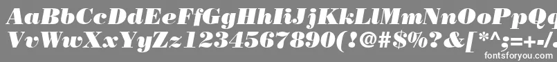fuente BodoniLtPosterItalic – Fuentes Blancas Sobre Fondo Gris