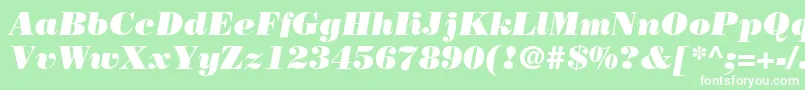 フォントBodoniLtPosterItalic – 緑の背景に白い文字