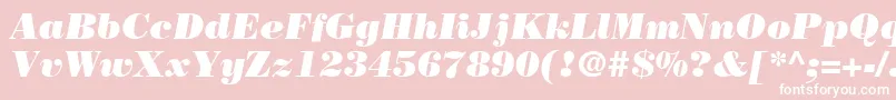 BodoniLtPosterItalic-fontti – valkoiset fontit vaaleanpunaisella taustalla