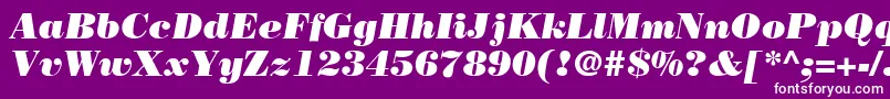 BodoniLtPosterItalic Font – White Fonts on Purple Background