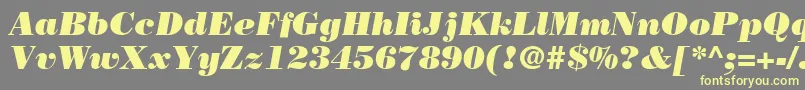 BodoniLtPosterItalic Font – Yellow Fonts on Gray Background