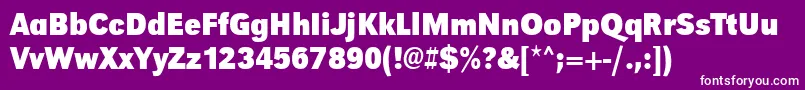 UrwgrotesktextnarBold Font – White Fonts on Purple Background
