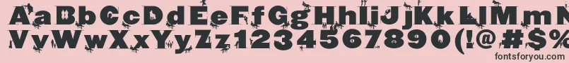 Blaxxconpersona Font – Black Fonts on Pink Background