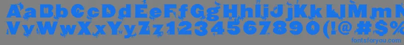 Blaxxconpersona Font – Blue Fonts on Gray Background