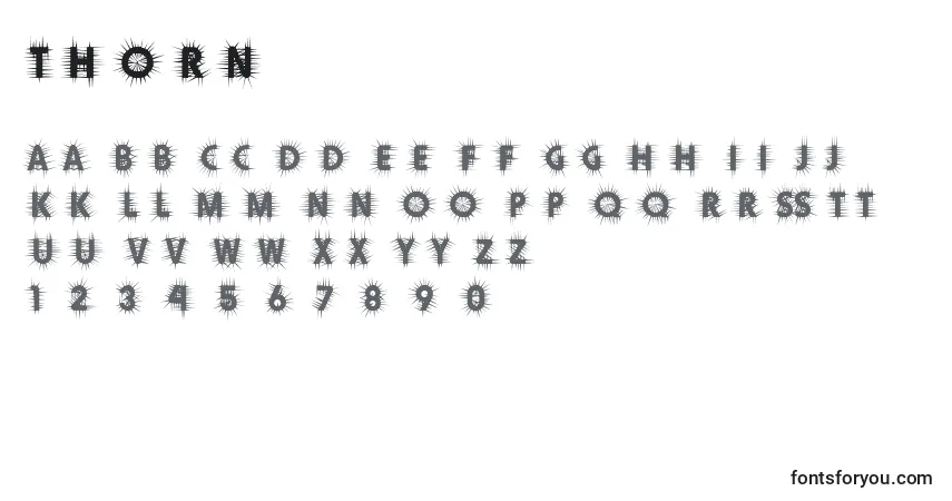 Czcionka Thorn – alfabet, cyfry, specjalne znaki