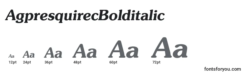 AgpresquirecBolditalic Font Sizes