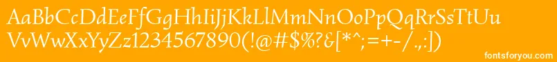 フォントSimonettaItalic – オレンジの背景に白い文字