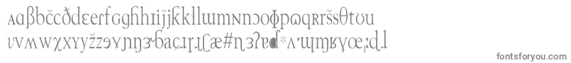 TechphoneticCn-fontti – harmaat kirjasimet valkoisella taustalla