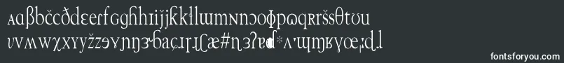 TechphoneticCn Font – White Fonts