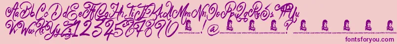 BelieverFever Font – Purple Fonts on Pink Background