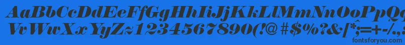 N790ModernItalic Font – Black Fonts on Blue Background