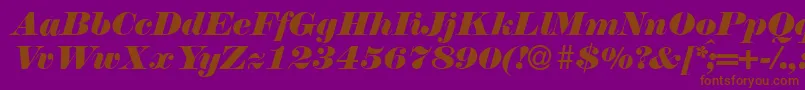 N790ModernItalic Font – Brown Fonts on Purple Background