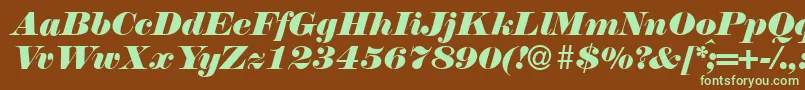 N790ModernItalic Font – Green Fonts on Brown Background