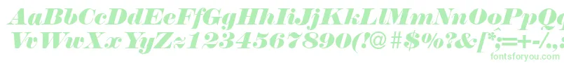 N790ModernItalic Font – Green Fonts on White Background