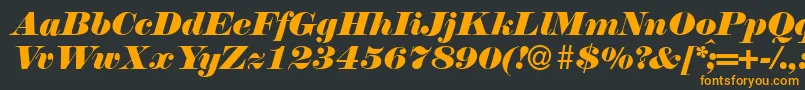 N790ModernItalic Font – Orange Fonts on Black Background