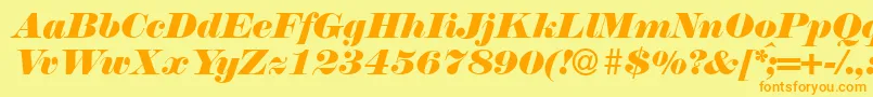 N790ModernItalic Font – Orange Fonts on Yellow Background