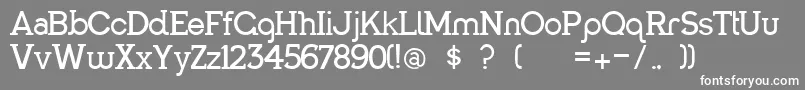 Panthony Font – White Fonts on Gray Background
