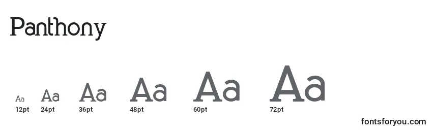 Panthony Font Sizes