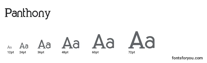 Größen der Schriftart Panthony