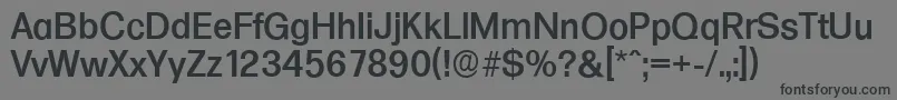 FormulaserialMediumRegular Font – Black Fonts on Gray Background