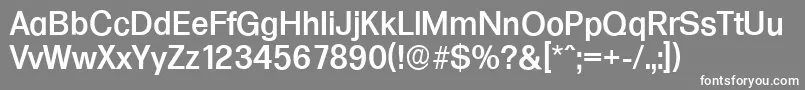 FormulaserialMediumRegular Font – White Fonts on Gray Background