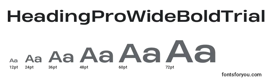 HeadingProWideBoldTrial Font Sizes