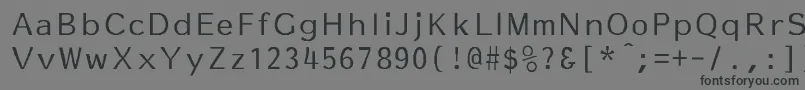 フォントEssayNormal – 黒い文字の灰色の背景
