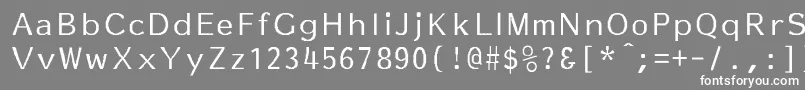 フォントEssayNormal – 灰色の背景に白い文字