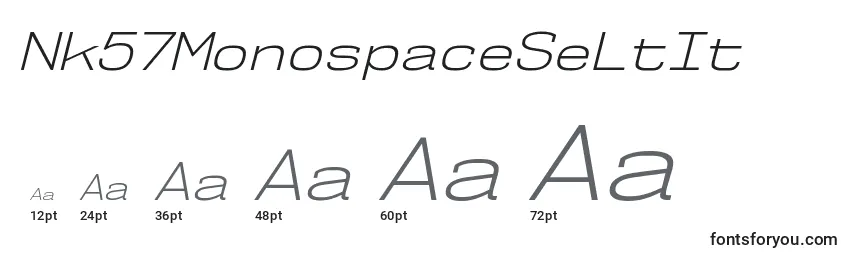 Размеры шрифта Nk57MonospaceSeLtIt