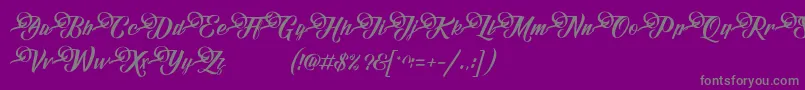 FundamentalDemo Font – Gray Fonts on Purple Background