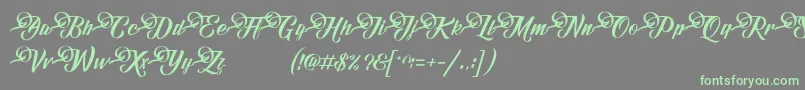 フォントFundamentalDemo – 灰色の背景に緑のフォント