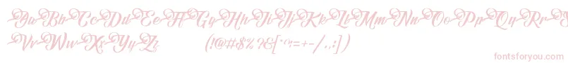 FundamentalDemo-Schriftart – Rosa Schriften