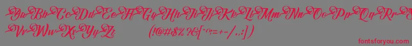 FundamentalDemo Font – Red Fonts on Gray Background