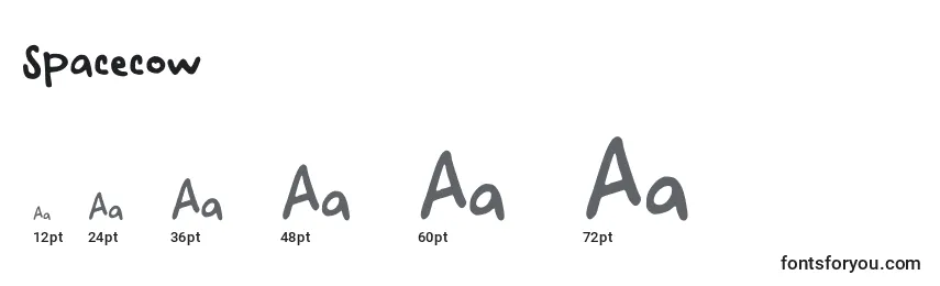 Spacecow Font Sizes