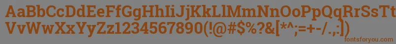 RobotoSlabBold Font – Brown Fonts on Gray Background