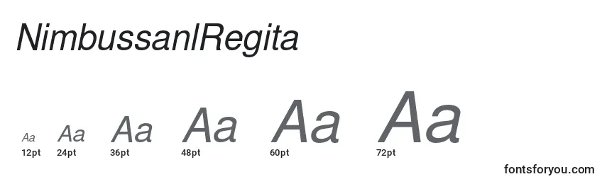 Размеры шрифта NimbussanlRegita