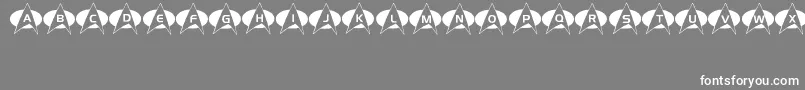 Energize Font – White Fonts on Gray Background