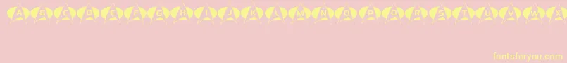 Energize Font – Yellow Fonts on Pink Background