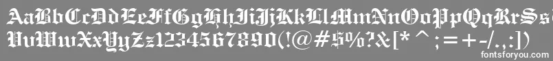 EngraversOldEnglishBoldBt Font – White Fonts on Gray Background