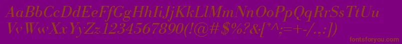 BodoniClassicoItalic Font – Brown Fonts on Purple Background