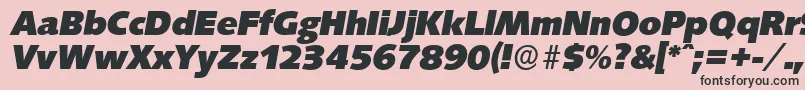 SaxonyserialHeavyItalic Font – Black Fonts on Pink Background