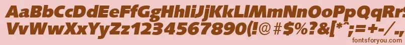 SaxonyserialHeavyItalic Font – Brown Fonts on Pink Background