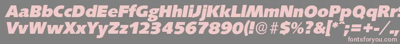 SaxonyserialHeavyItalic Font – Pink Fonts on Gray Background