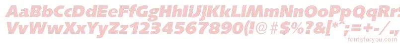 SaxonyserialHeavyItalic Font – Pink Fonts on White Background