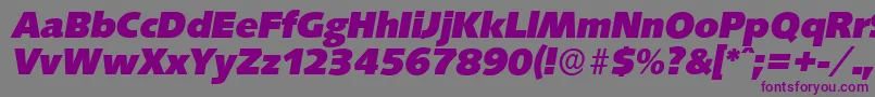 SaxonyserialHeavyItalic Font – Purple Fonts on Gray Background